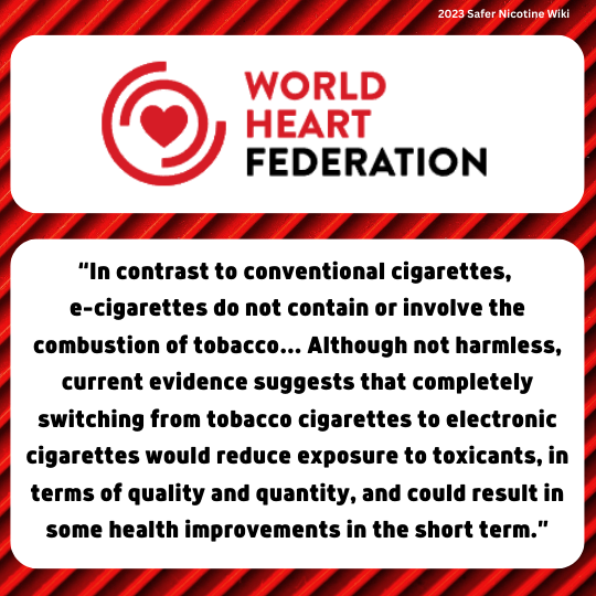 File:INT World Heart Federation.png