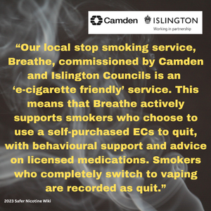 UK Camden and Islington Public Health.png
