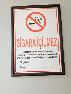 No smoking sign, Turkey.jpg