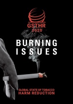 Thumbnail for File:GSTHR2020-Burning-Issues.pdf