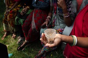 Naswar, India - 54567064813.jpg
