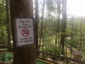 Smoking signage - 54687233855.jpg
