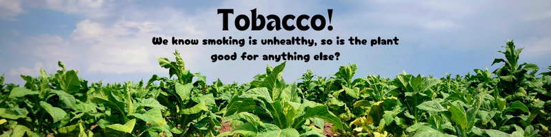 File:Alternative Uses for Tobacco.png