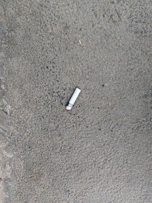 Cigarette butt-2026-05-01.jpg