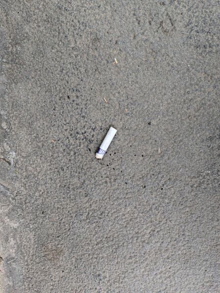 File:Cigarette butt-2026-05-01.jpg
