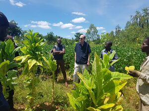 Tobacco farm visit, Malawi 2019 - 54579957295.jpg