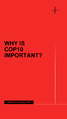 COP10 english facebook instagram story post2 part 1
