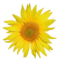 WikiThanks